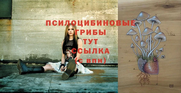 spice Нягань