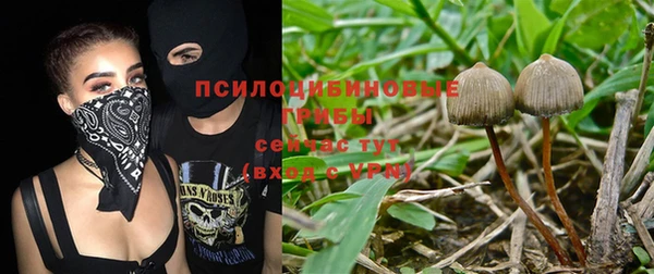 экстази Новозыбков