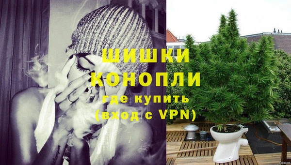 бошки Протвино