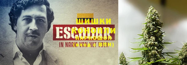 спайс Новодвинск