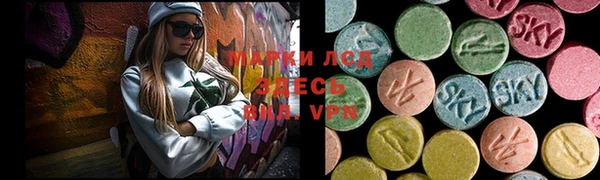 спайс Новодвинск